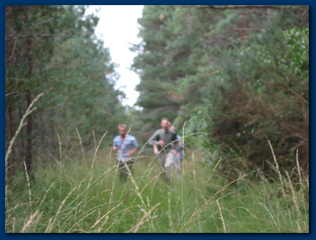 600x449 pixels (114K)